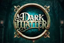 A Dark Matter